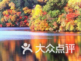 宋剑武最新简介2024